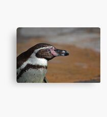 Penguin Canvas Print