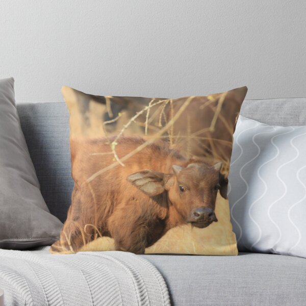 Item preview, Uganda Ankole cattle Cattle calf calf little devil little devil devil designed and sold by eickys.