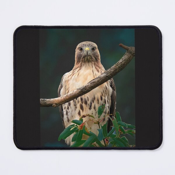 Item preview, Red Tailed Hawk Emerald Mood designed and sold by Annariaart.
