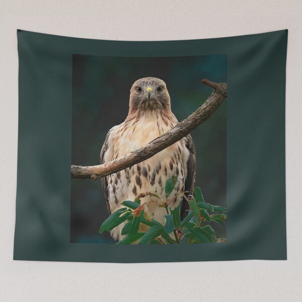 Item preview, Red Tailed Hawk Emerald Mood designed and sold by Annariaart.