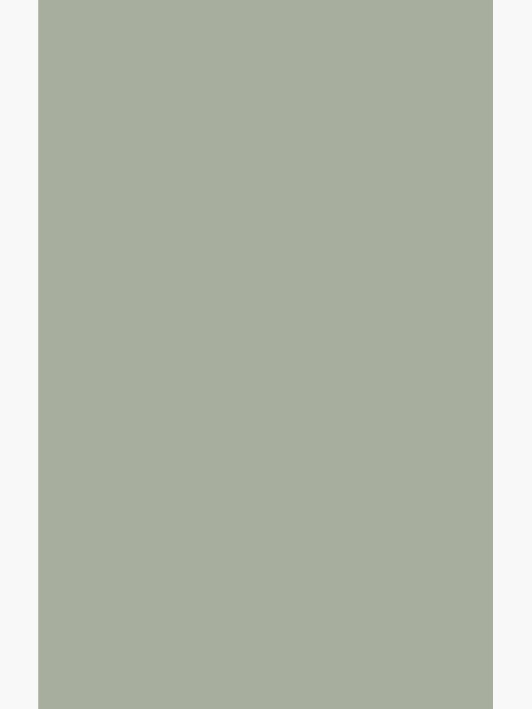 Desert Sage Grey Green Solid Color by podartist
