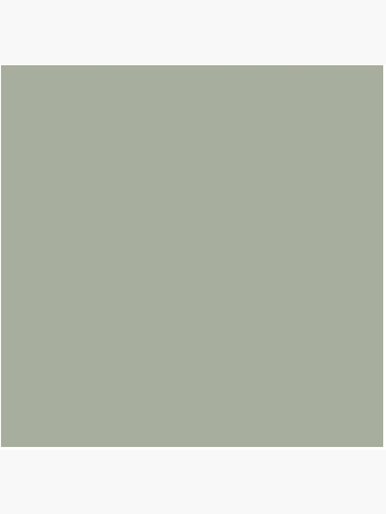 Desert Sage Grey Green Solid Color by podartist