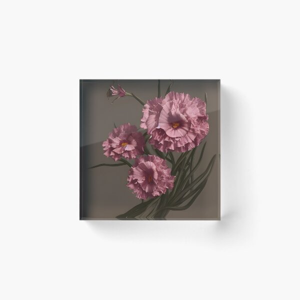 Item preview, Dianthus designed and sold by philozei.