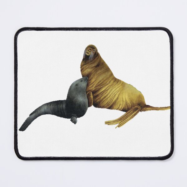 Item preview, Cute Seals designed and sold by Hanh-Gallery.