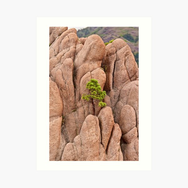 Tree and Geology Art Print