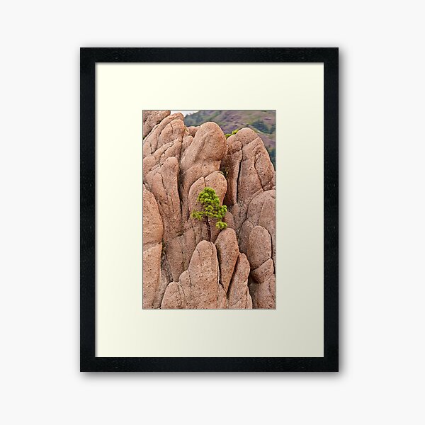 Tree and Geology Framed Art Print