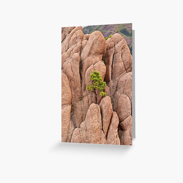 Tree and Geology Greeting Card