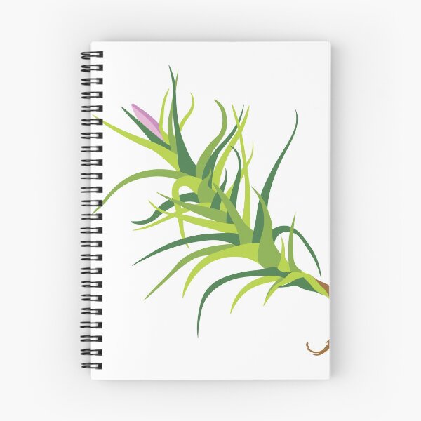 Item preview, Tillandsia Air Plant IV designed and sold by brilliantbotany.