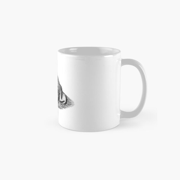 iToad Classic Mug