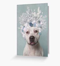 Flower Power, Icicle Greeting Card