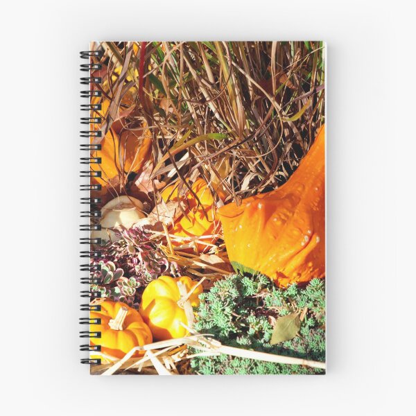 Item preview, Autumn - Squash - Feeling squashed designed and sold by Mike Savad Photography.