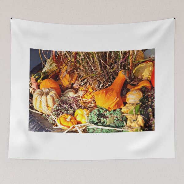 Item preview, Autumn - Squash - Feeling squashed designed and sold by Mike Savad Photography.