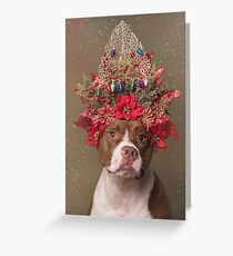 Flower Power, Chloe Greeting Card