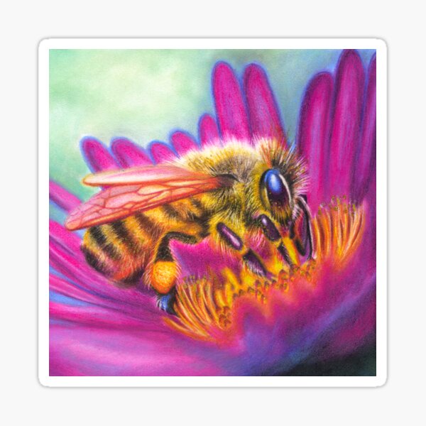 Bee on Pink Flower | Wildlife Art | Nature Drawing Sticker