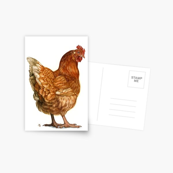 Red Hen Postcard