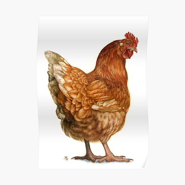 Red Hen Poster