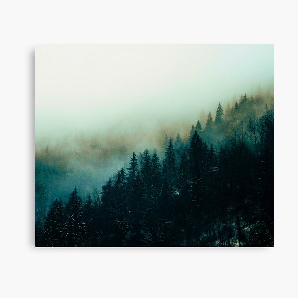 Misty Forest Wall Art Redbubble