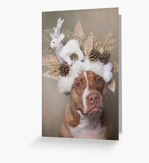 Flower Power, Paula Greeting Card