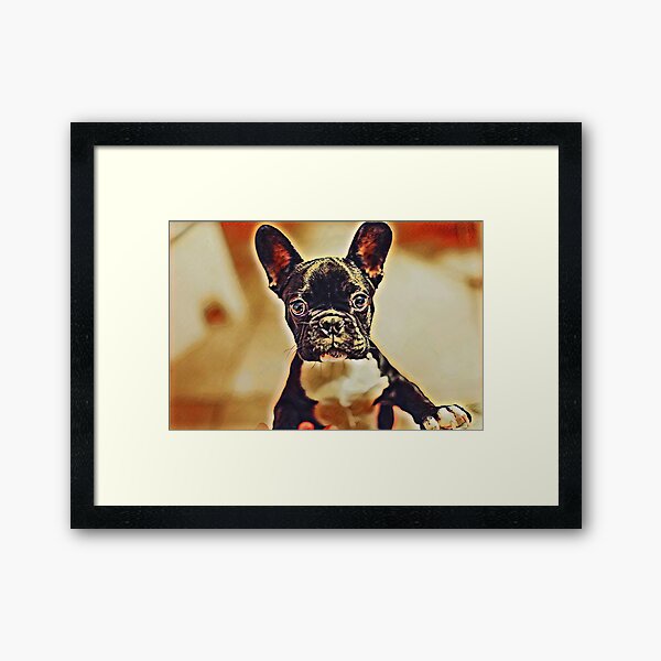 Artikel-Vorschau von FRENCH BULLDOG PUPPY, designt und verkauft von KatisDesign.