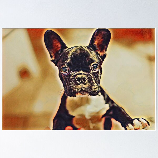 Artikelvorschau, FRENCH BULLDOG PUPPY entworfen und verkauft von KatisDesign.
