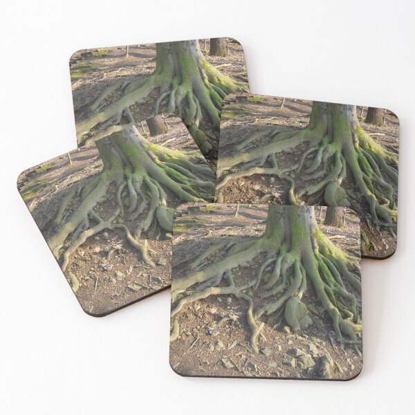 Item preview, An old tree and its strong root. Rooted in the earth 1 designed and sold by Heidemüllerin.