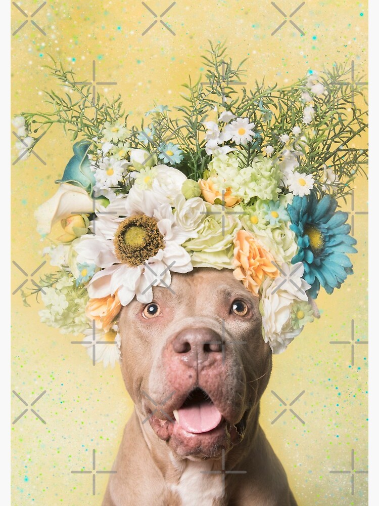 Flower Power, Princess by SophieGamand