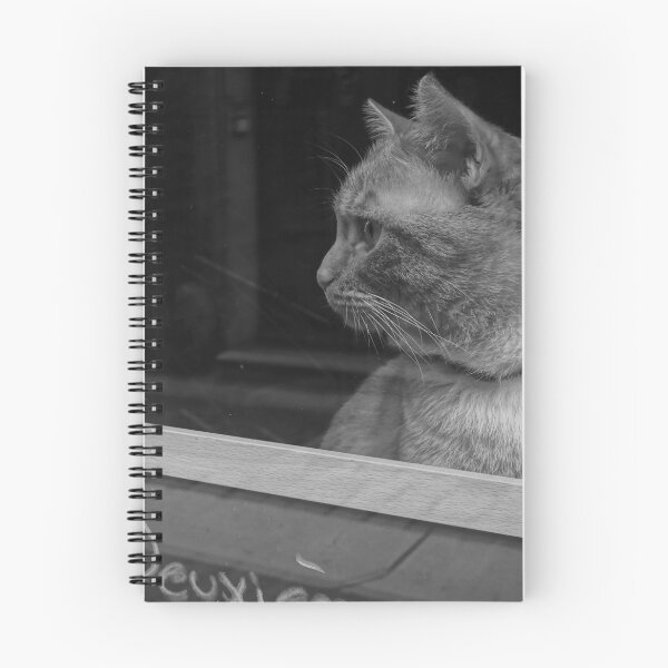 Item preview, Cat Peeking through Showcase Window designed and sold by CarolinaReina.