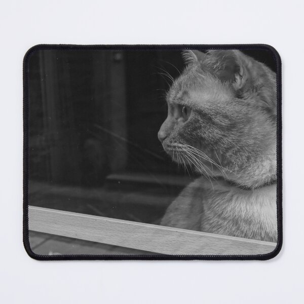 Item preview, Cat Peeking through Showcase Window designed and sold by CarolinaReina.