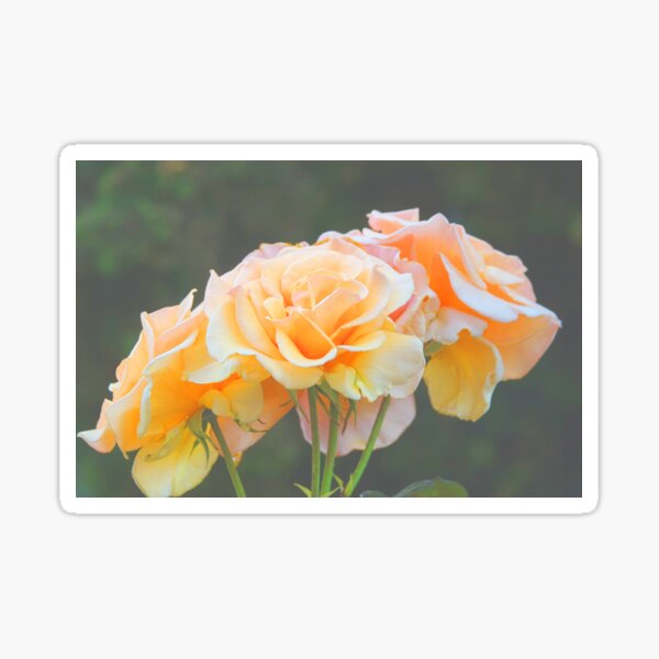 Item preview, Pretty as a Peach designed and sold by lizwaitinas.