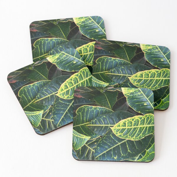Item preview, Miami croton designed and sold by ClaireRequa.