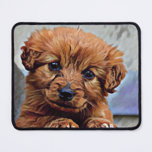 Item preview, NORFOLK TERRIER designed and sold by KatisDesign.