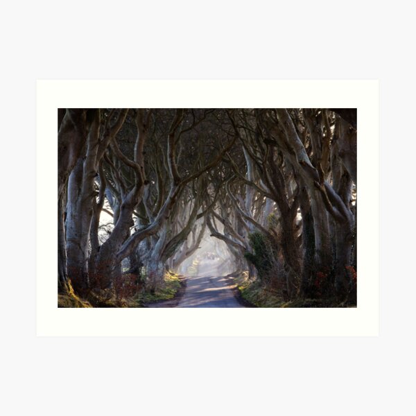 The Dark Hedges Game of Thrones County Antrim Northern Ireland Art Print