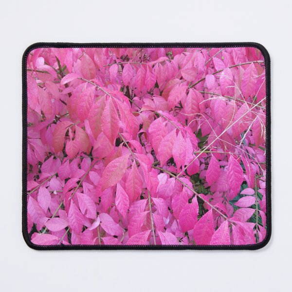 Item preview, Pink is absolutely the most beautiful color in fall designed and sold by Raigitam.