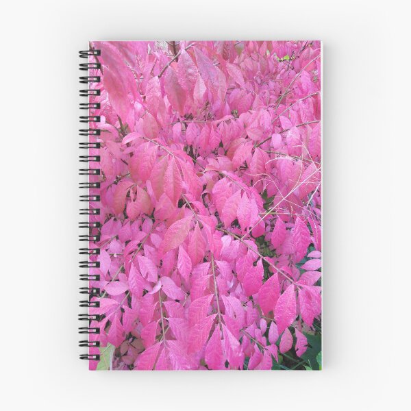 Item preview, Pink is absolutely the most beautiful color in fall designed and sold by Raigitam.