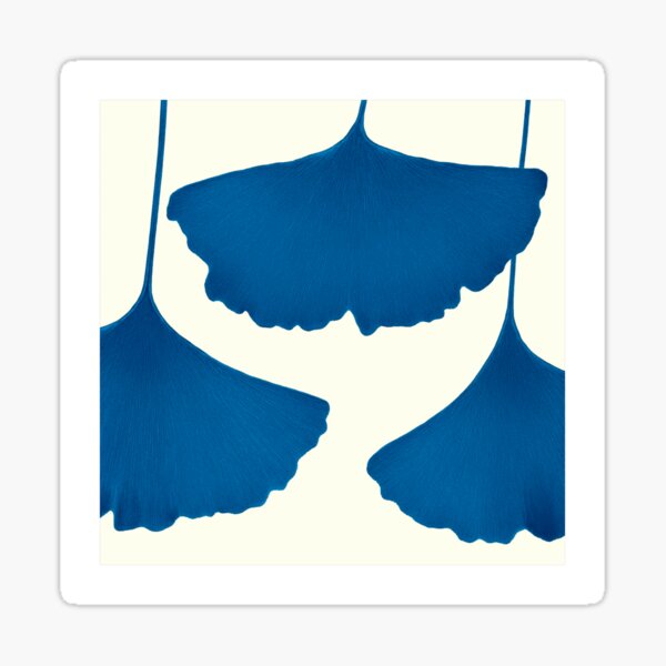 Ginkgo Leaves Sticker