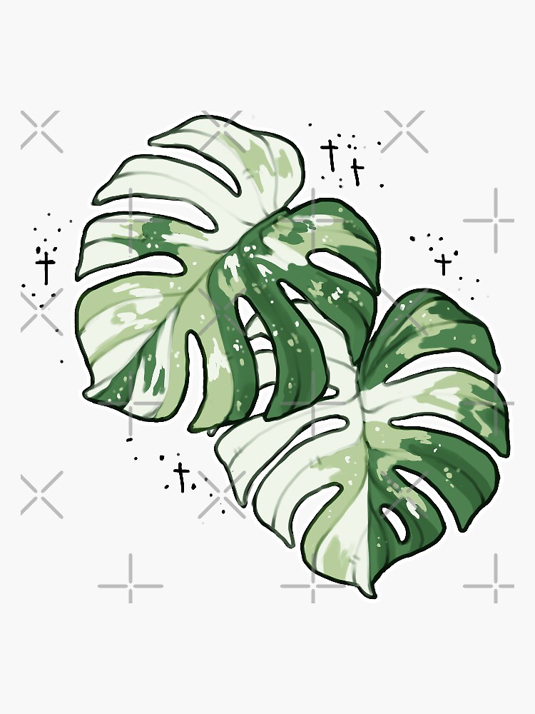 Plant Stickers - Monstera Stickers - Anthurium Stickers - Water Resistant  Durable Vinyl Glossy Plant Stickers - Plant Lover Gift