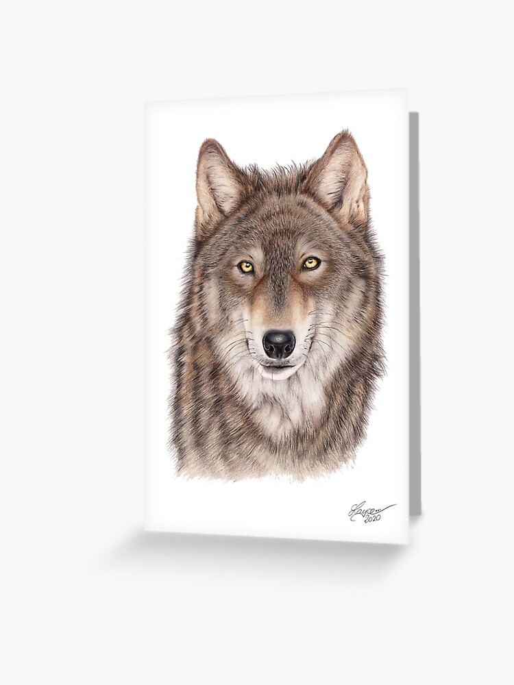 Wild Wolf Drawing, Wildlife Art