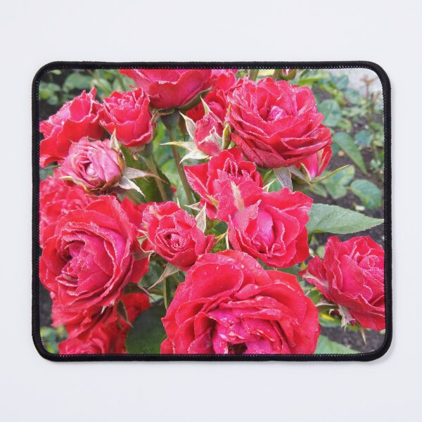 Item preview, Red roses are my love everyday and forever designed and sold by Raigitam.