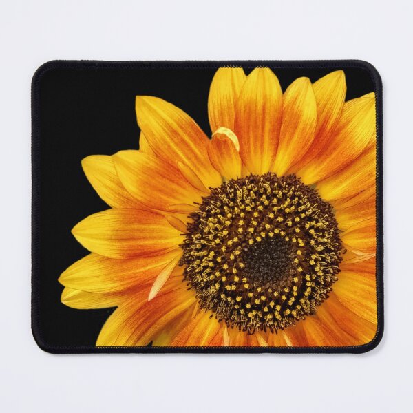 Item preview, Sunflower plant iphone case nature flower case, sunflower lovers, gifts 2022, mother’s day 2023, christmas 2023, fathers day 2023 designed and sold by ZiZoZinAA.