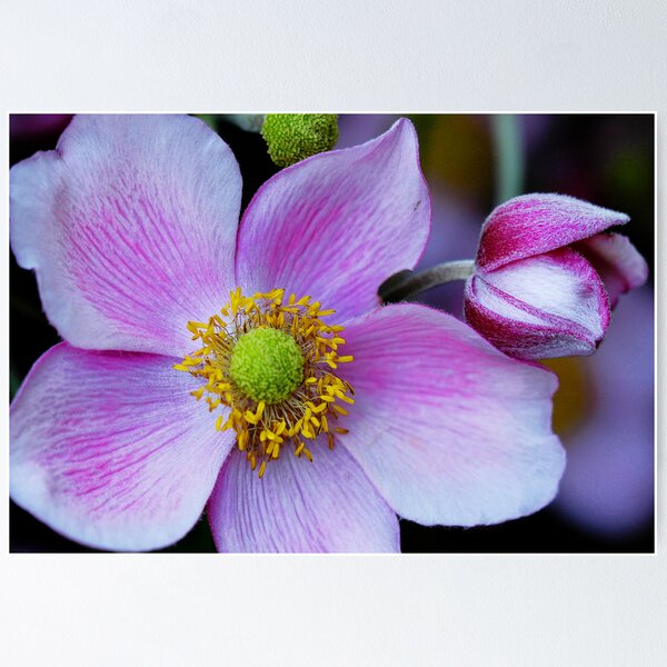 Artikelvorschau, A part of Me entworfen und verkauft von Flowers.