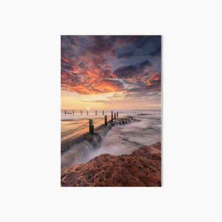 Morning Bliss Art Board Print