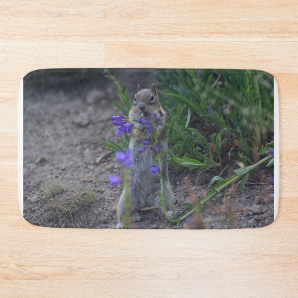 Item preview, Golden-mantled ground squirrel eating some penstemon. designed and sold by Photos By Michel.