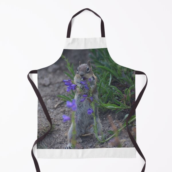 Item preview, Golden-mantled ground squirrel eating some penstemon. designed and sold by Photos By Michel.