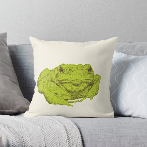 Throw Pillow