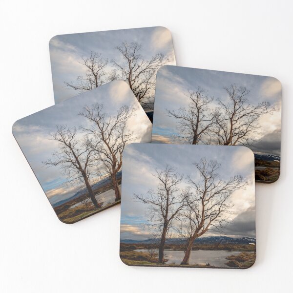 Item preview, Trees at the lake designed and sold by KGPhotoArt.