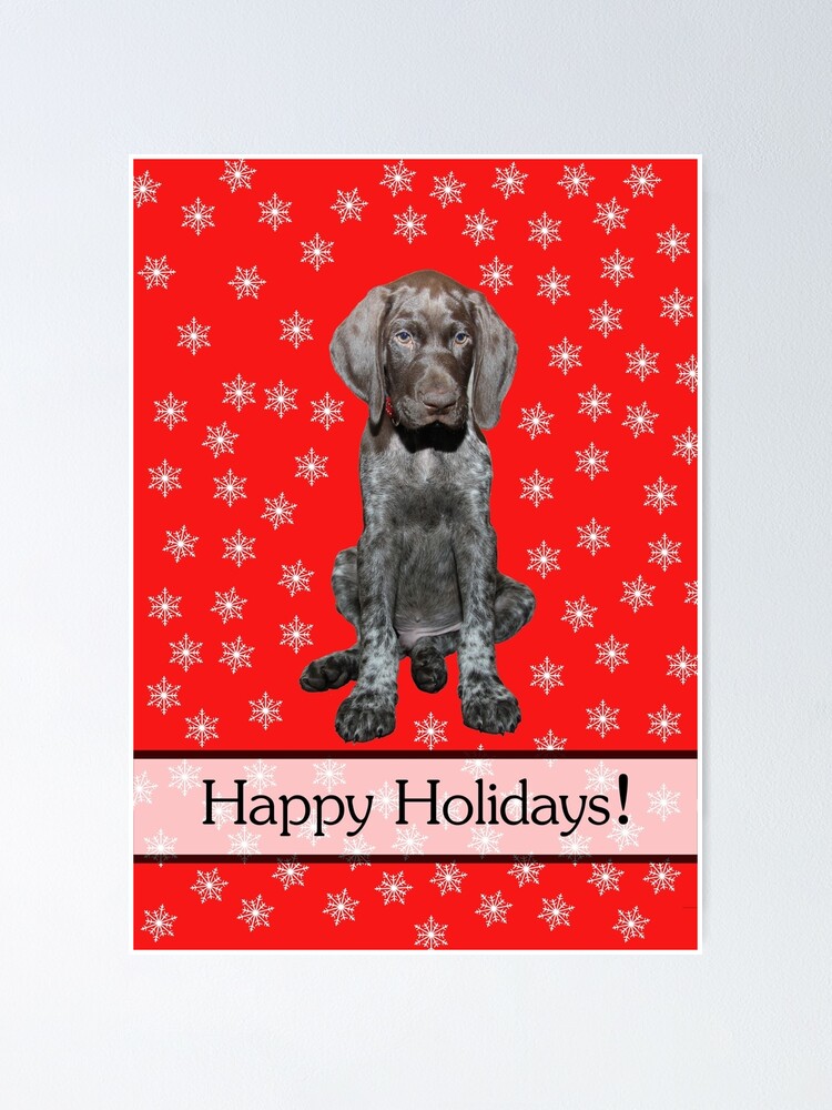 Glossy Grizzly German Shorthaired Pointer Happy Holidays Poster For Sale By Glossygrizzly 1821