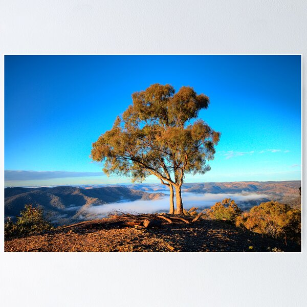 Item preview, To The Point - Kissing Point - Hill End NSW - THe HDR Series designed and sold by Salieri1627.