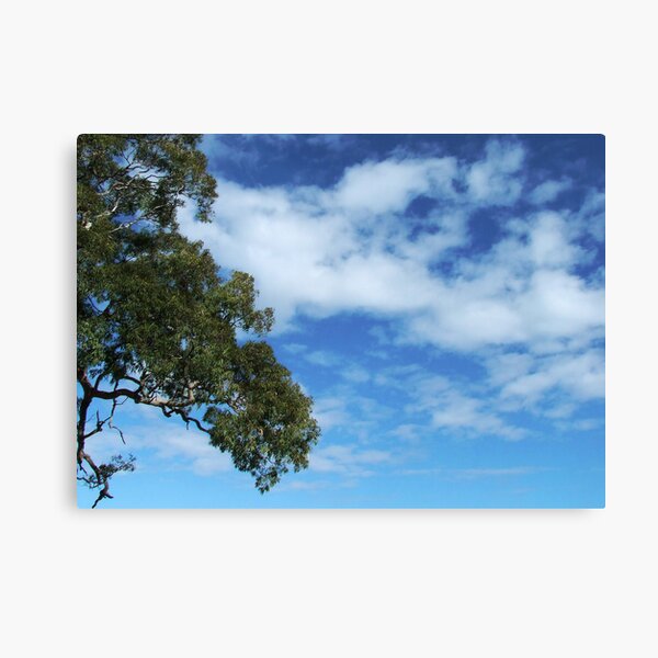 Australian morning Canvas Print