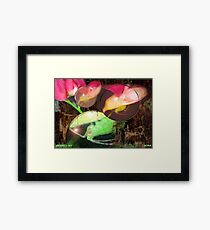 ENTOMOLOGY Framed Print