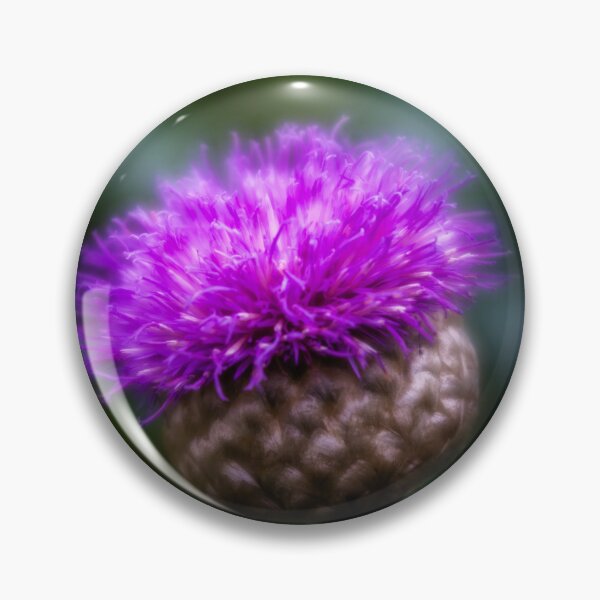 Item preview, Flower of Scotland designed and sold by DiFigianoPhoto.